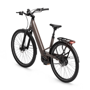 Electric bicycle TENWAYS Ago Performance, 29" Walnut Brown product image