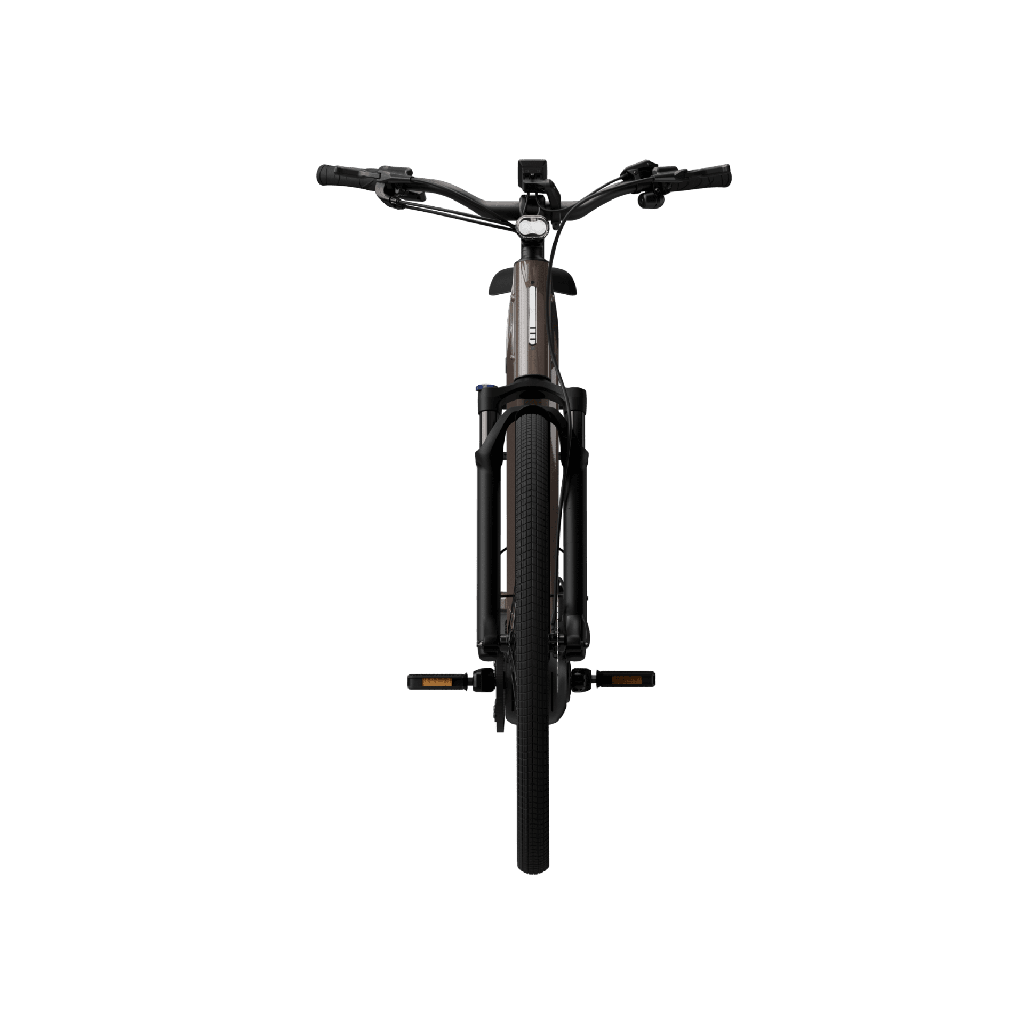 Electric bicycle TENWAYS Ago Performance, 29" Walnut Brown product image