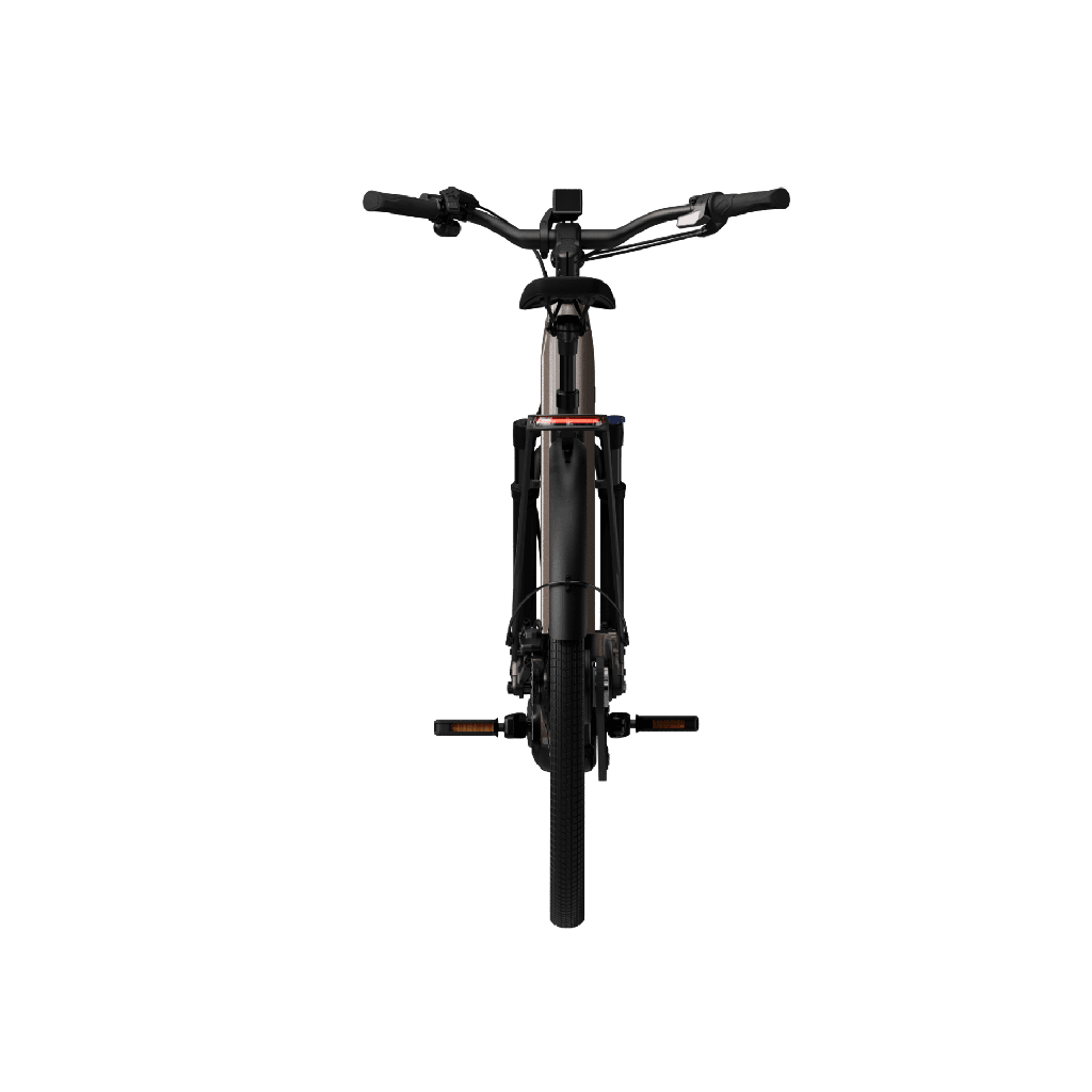 Electric bicycle TENWAYS Ago Performance, 29" Walnut Brown product image