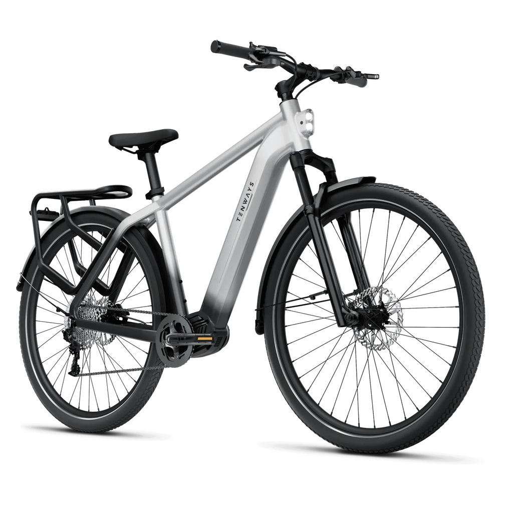 Electric bicycle TENWAYS AGO X, 29" Gradient Silver (L) product image