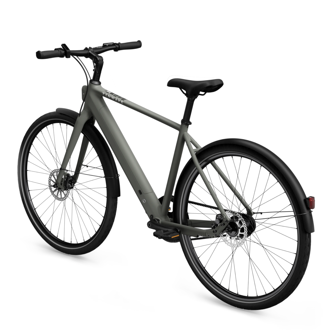 Electric bicycle TENWAYS CGO600 Pro, Willow Mist (L) product image